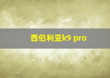 西伯利亚k9 pro